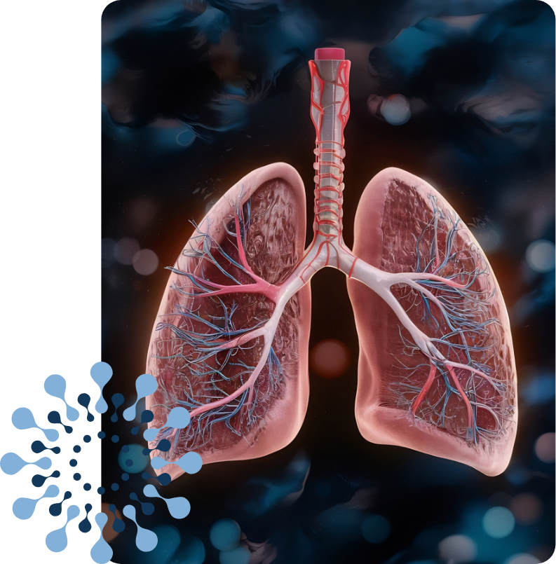 Tipos de Câncer - Câncer de pulmão